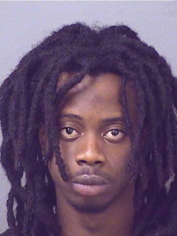  LOUVINSKY CHERILUS Photo