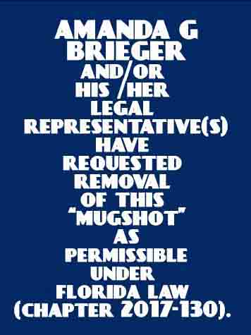  AMANDA G BRIEGER Photo For  AMANDA G BRIEGER