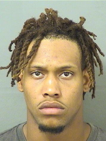  CHATELAIN RUBINSON Results from Palm Beach County Florida for  CHATELAIN RUBINSON