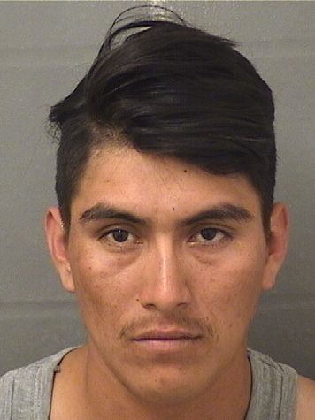  DANY PEDRO Photo For  DANY PEDRO