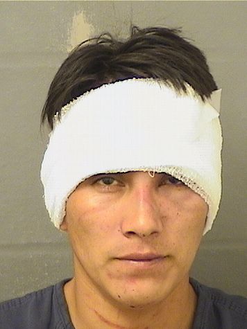  DANIEL PEDRO Results from Palm Beach County Florida for  DANIEL PEDRO