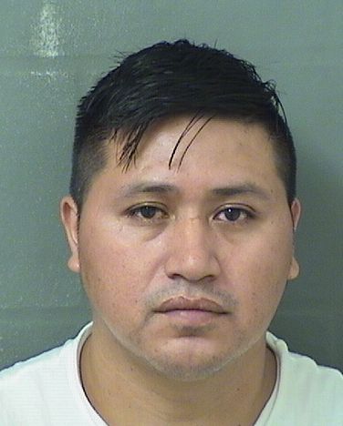  JOSE TOMAS NOE Resultados de la busqueda para Palm Beach County Florida para  JOSE TOMAS NOE