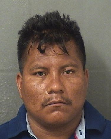 CESAR AUGUSTO DOMINGOSANCHEZ Results from Palm Beach County Florida for  CESAR AUGUSTO DOMINGOSANCHEZ