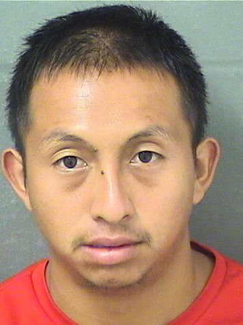  ROMULO JOSE ESTEBANMATIAS Resultados de la busqueda para Palm Beach County Florida para  ROMULO JOSE ESTEBANMATIAS