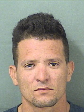  DARYLL JOSE HORNIAMILAN Results from Palm Beach County Florida for  DARYLL JOSE HORNIAMILAN