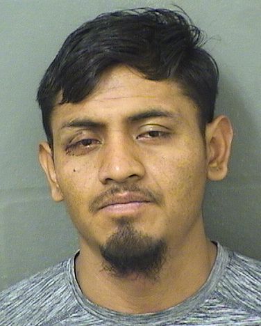  GELDER OSBERTO MARTINEZVASQUEZ Results from Palm Beach County Florida for  GELDER OSBERTO MARTINEZVASQUEZ