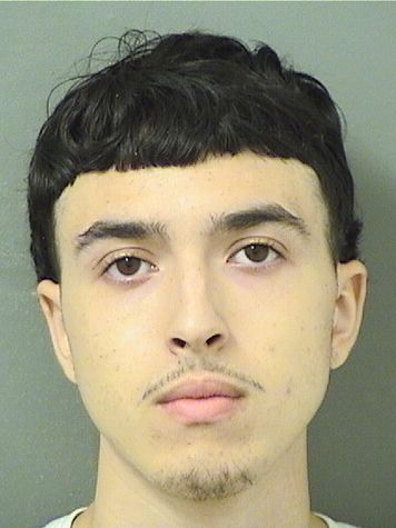  CARLOS JUAN HERNANDEZ Results from Palm Beach County Florida for  CARLOS JUAN HERNANDEZ