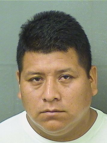  MELQUY ELFEGO CINTOLOPEZ Resultados de la busqueda para Palm Beach County Florida para  MELQUY ELFEGO CINTOLOPEZ