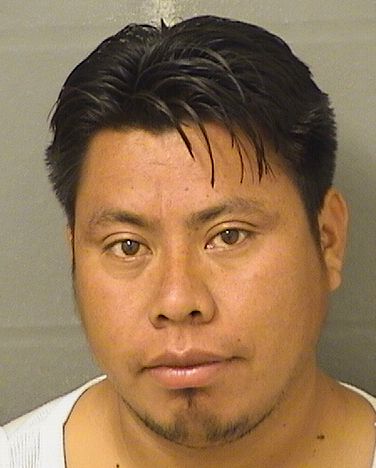  LEONARDO JOEL SANCHEZMEJIA Results from Palm Beach County Florida for  LEONARDO JOEL SANCHEZMEJIA