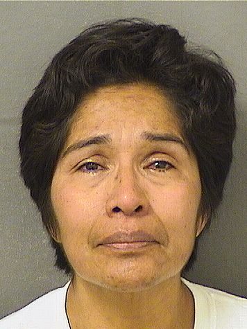  SOCORRO A SANCHEZMATA Resultados de la busqueda para Palm Beach County Florida para  SOCORRO A SANCHEZMATA