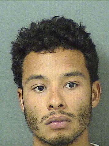  DANIEL ALFONSO ROSARIO Results from Palm Beach County Florida for  DANIEL ALFONSO ROSARIO