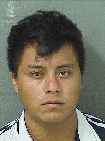  GREGORIO VELASQUEZ CURZ Resultados de la busqueda para Palm Beach County Florida para  GREGORIO VELASQUEZ CURZ