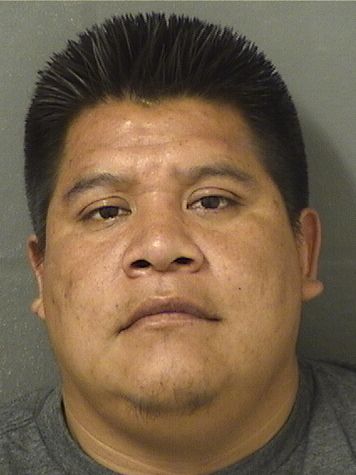  MIGUEL TOMAS Results from Palm Beach County Florida for  MIGUEL TOMAS