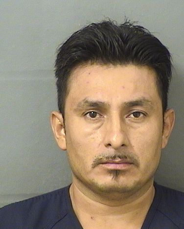  JOSE LUIS RAMOS Results from Palm Beach County Florida for  JOSE LUIS RAMOS