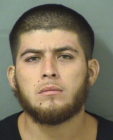  BRANDON ALBERTO SATURNINO Results from Palm Beach County Florida for  BRANDON ALBERTO SATURNINO