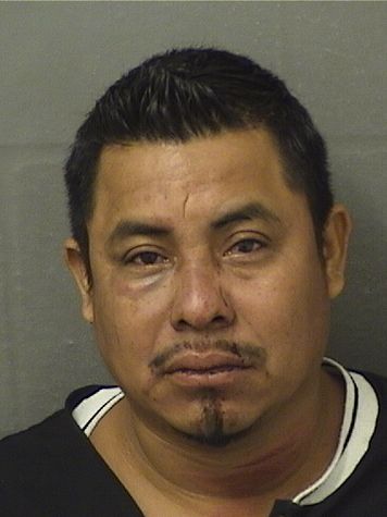 RAMON VIDAL SILVESTRE SANCHEZ Results from Palm Beach County Florida for RAMON VIDAL SILVESTRE SANCHEZ RAMON VIDAL SILVESTRE SANCHEZ Results from Palm Beach County Florida for RAMON VIDAL SILVESTRE SANCHEZ
