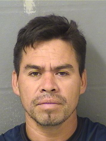  JULIAN EDIBERTO COTA Results from Palm Beach County Florida for  JULIAN EDIBERTO COTA