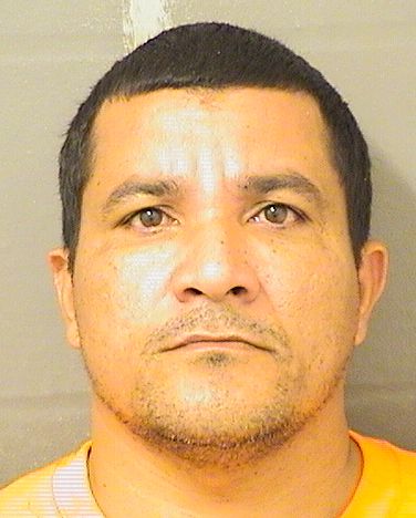  ALIDUNIS MACEOPEREZ Results from Palm Beach County Florida for  ALIDUNIS MACEOPEREZ