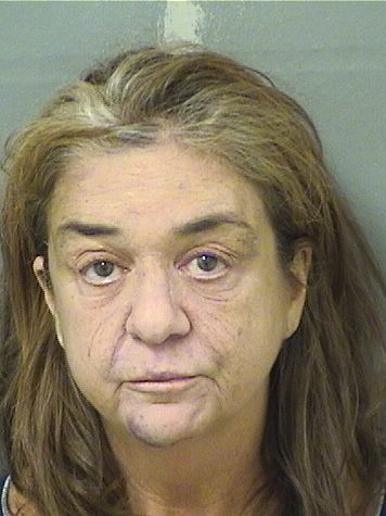  LISA MARIE MCINERNY Results from Palm Beach County Florida for  LISA MARIE MCINERNY