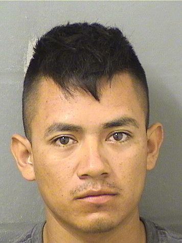 LEONZO LEONARDO CALDERONREYES Photos For  LEONZO LEONARDO CALDERONREYES  LEONZO LEONARDO CALDERONREYES Photo For  LEONZO LEONARDO CALDERONREYES