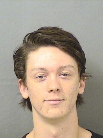  DYLAN ANTHONY LEONARD Results from Palm Beach County Florida for  DYLAN ANTHONY LEONARD