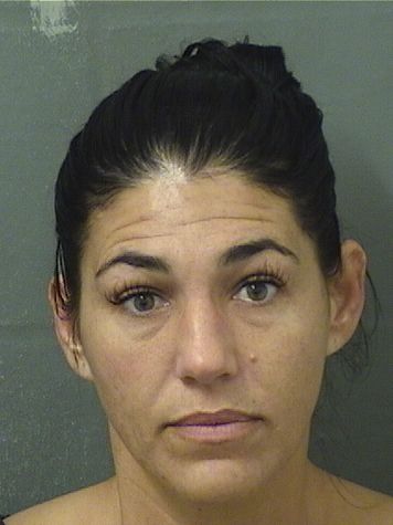  MICHELLE CHRISTINE HUDSON Results from Palm Beach County Florida for  MICHELLE CHRISTINE HUDSON