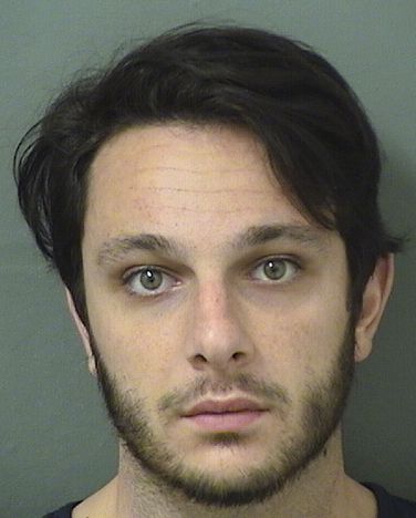  ALEX MICHAEL GAINSBORG Results from Palm Beach County Florida for  ALEX MICHAEL GAINSBORG