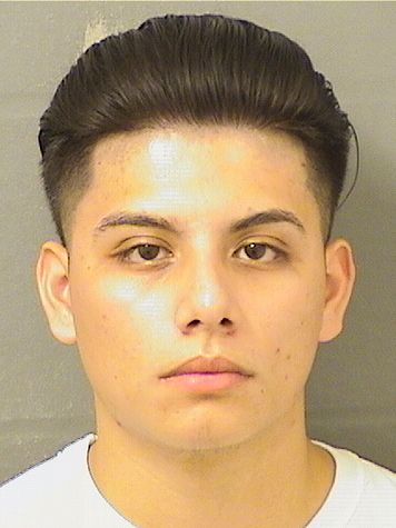  JESUS E ARCE Results from Palm Beach County Florida for  JESUS E ARCE