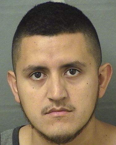  JONATHAN E CASTILLOMIJANGOS Results from Palm Beach County Florida for  JONATHAN E CASTILLOMIJANGOS