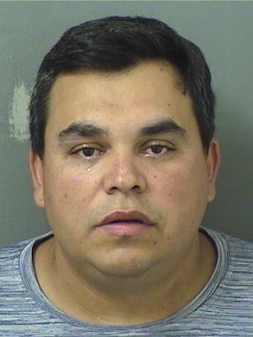  MAURICIO PLATA Photo For  MAURICIO PLATA