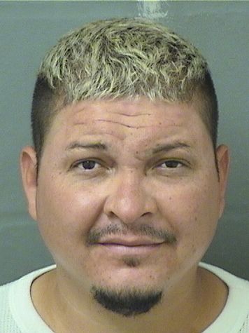  ALEJANDRO DELACRUZ Results from Palm Beach County Florida for  ALEJANDRO DELACRUZ