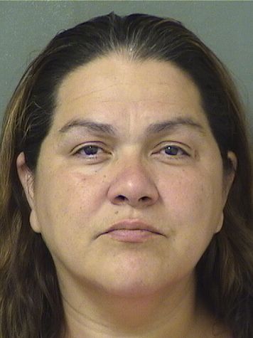  DIGNA HERNANDEZ Results from Palm Beach County Florida for  DIGNA HERNANDEZ