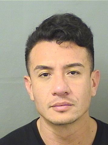  LUIS ALBERTO VIVAS Results from Palm Beach County Florida for  LUIS ALBERTO VIVAS