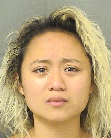  DOMINIQUE ADOPTANTE NATALE Results from Palm Beach County Florida for  DOMINIQUE ADOPTANTE NATALE