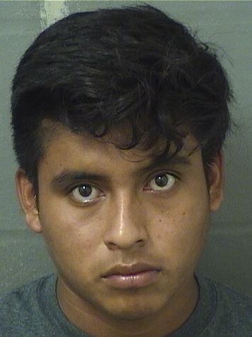  ELIAS VIDENTE BALTAZARPASCUAL Results from Palm Beach County Florida for  ELIAS VIDENTE BALTAZARPASCUAL