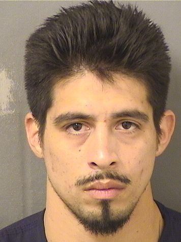  RICARDO ZARARTE J RAMIREZ Results from Palm Beach County Florida for  RICARDO ZARARTE J RAMIREZ