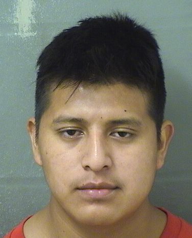  RODRIGO CARRILLO Results from Palm Beach County Florida for  RODRIGO CARRILLO