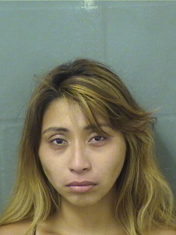  HEIDI CHUCCHI Results from Palm Beach County Florida for  HEIDI CHUCCHI