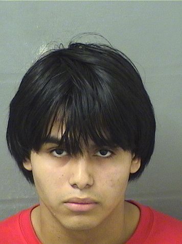  JOEL JESUS ESPINO Results from Palm Beach County Florida for  JOEL JESUS ESPINO