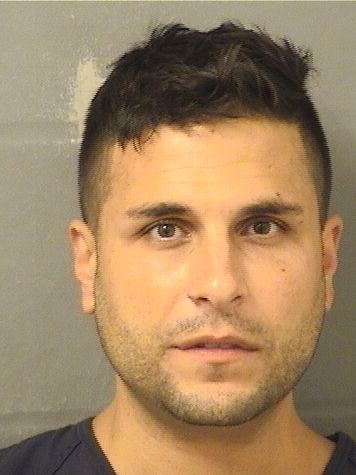  JUSTIN POTENZA Results from Palm Beach County Florida for  JUSTIN POTENZA