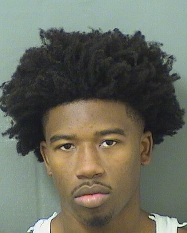  ELLIOTT DENSON Results from Palm Beach County Florida for  ELLIOTT DENSON