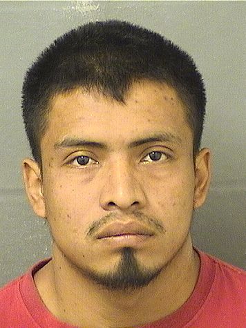  DANILO ESTUARDO PEREZCIFUENTES Results from Palm Beach County Florida for  DANILO ESTUARDO PEREZCIFUENTES