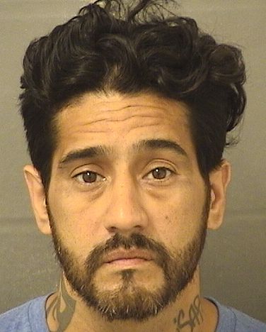  WILSON EDMUNDO MONCADA Results from Palm Beach County Florida for  WILSON EDMUNDO MONCADA