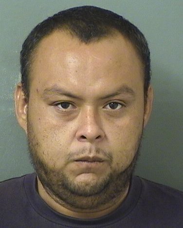  EDGAR ARMANDO BENITEZ Results from Palm Beach County Florida for  EDGAR ARMANDO BENITEZ