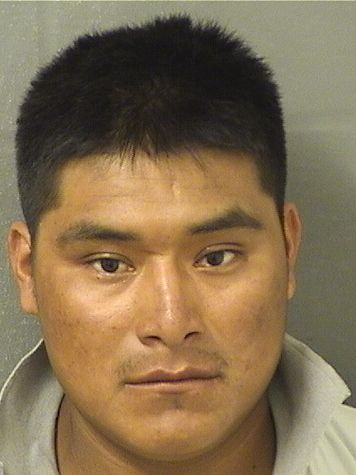  LUIS A REYESMONTES Resultados de la busqueda para Palm Beach County Florida para  LUIS A REYESMONTES