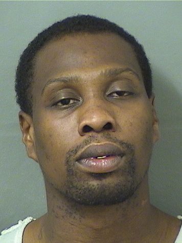  ELMORE  III MAIDEN Results from Palm Beach County Florida for  ELMORE  III MAIDEN