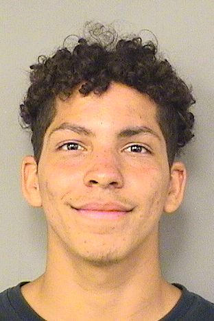  CHRISTIAN REIMER Results from Palm Beach County Florida for  CHRISTIAN REIMER