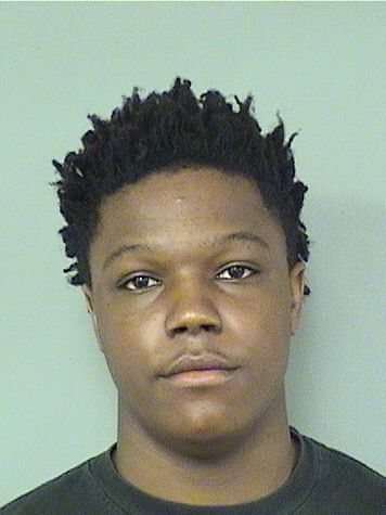  JORDAN LEONARD FREEMAN Results from Palm Beach County Florida for  JORDAN LEONARD FREEMAN