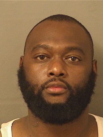  MICHAEL C MINGO Results from Palm Beach County Florida for  MICHAEL C MINGO