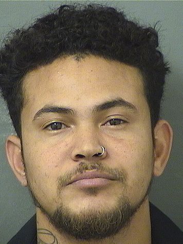  RAY ANTHONY LEMERCIERDUQUESNAY Resultados de la busqueda para Palm Beach County Florida para  RAY ANTHONY LEMERCIERDUQUESNAY